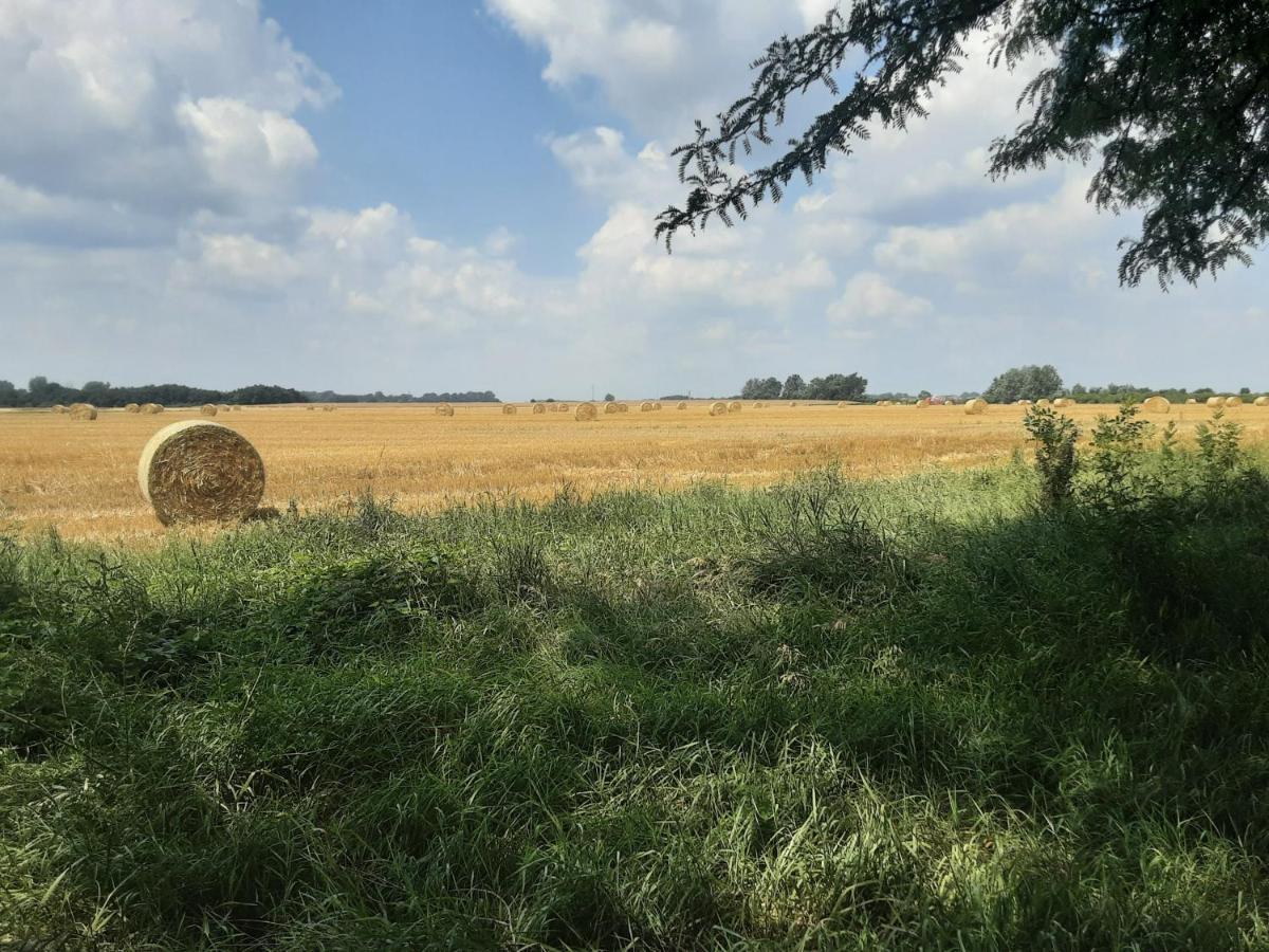 Herberg Tisza Tiszabábolna Exterior photo