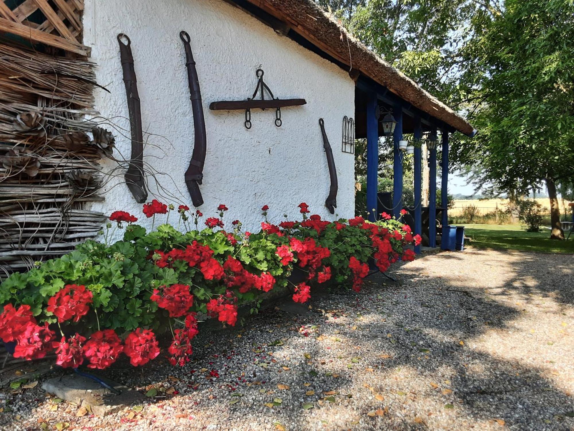 Herberg Tisza Tiszabábolna Exterior photo